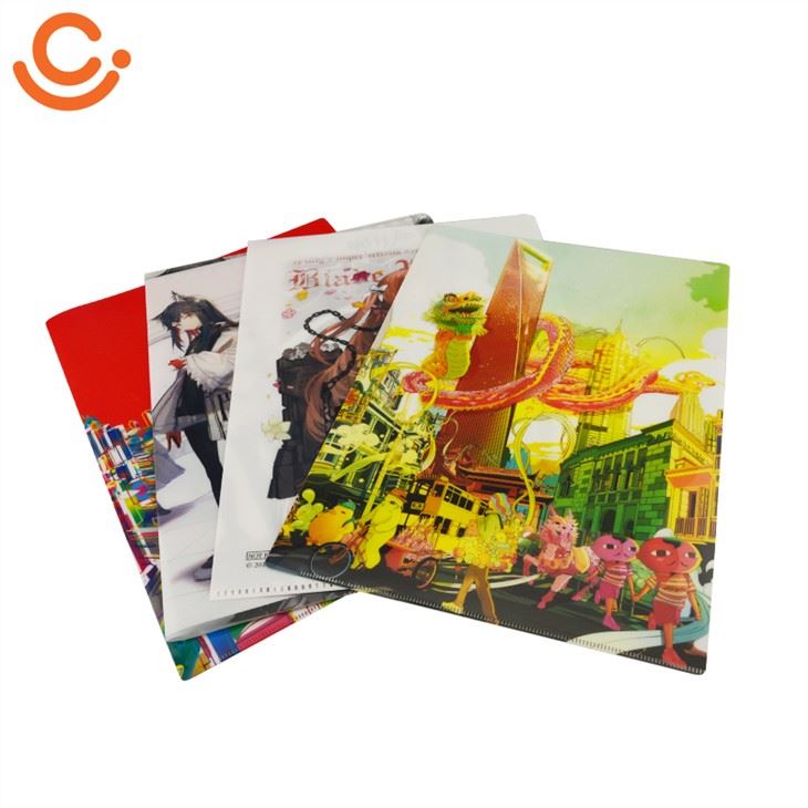 Single Expanding File Folder